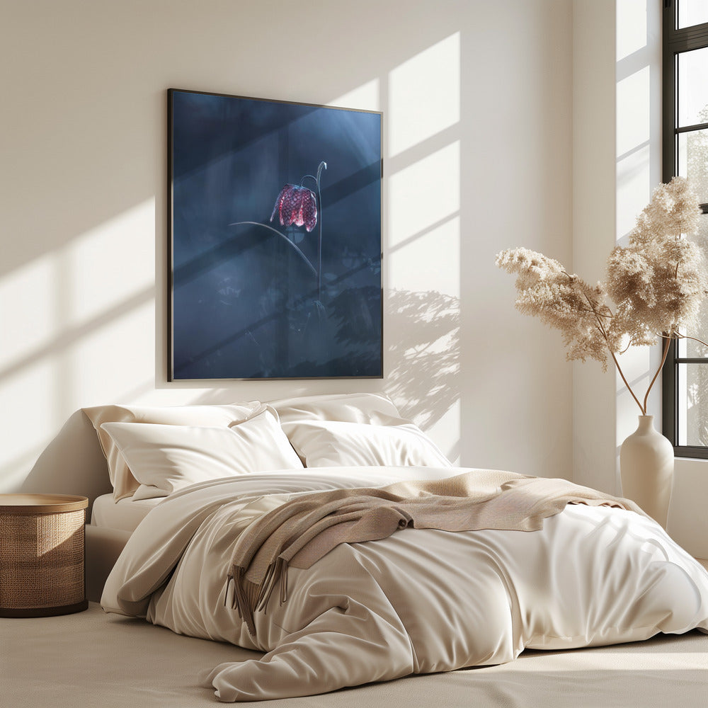 Ephemeral Fantasy | Poster