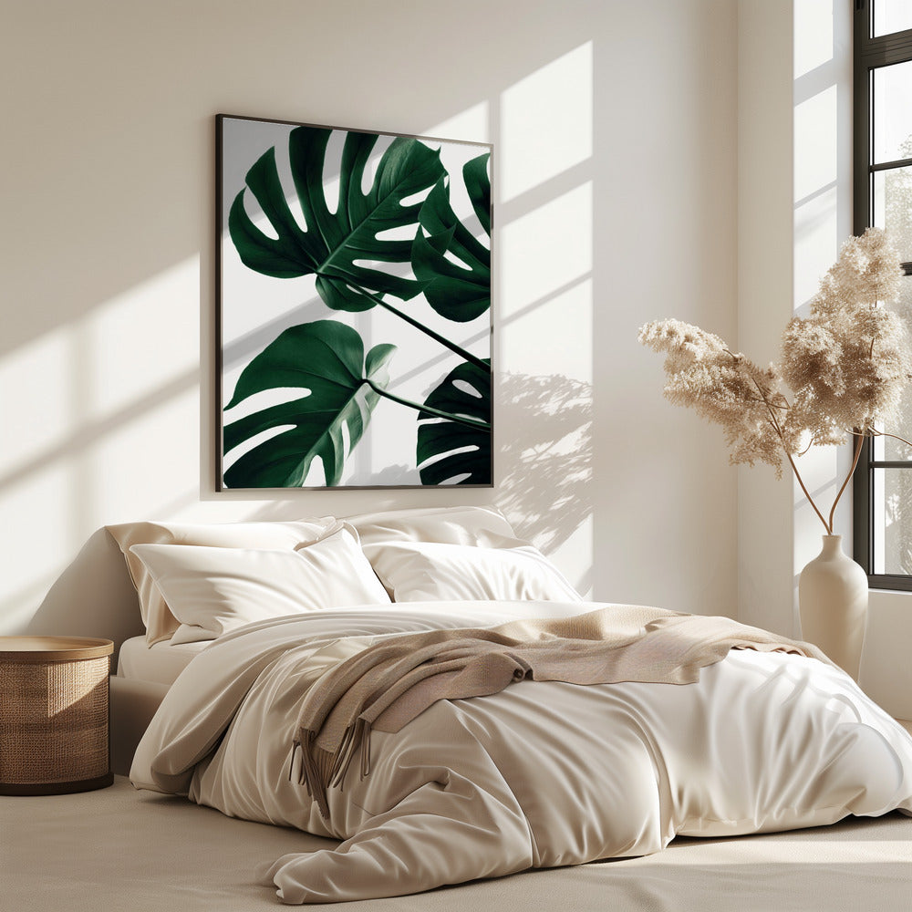 Monstera Natural 43 | Poster