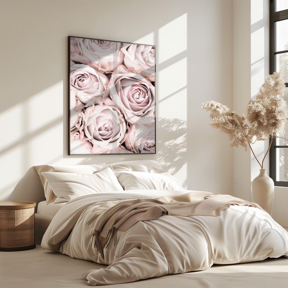 Pink Roses No 01 | Poster