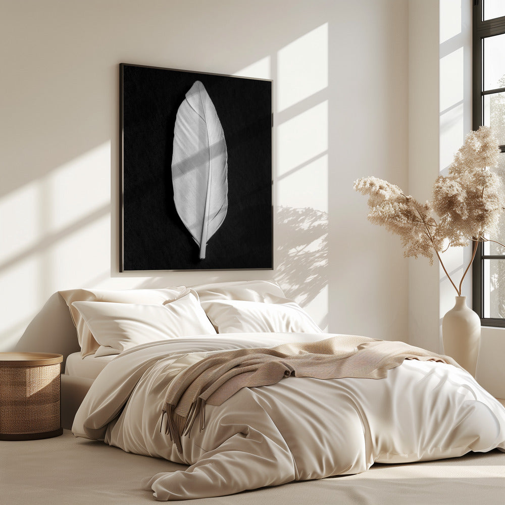 Feather_008 | Poster