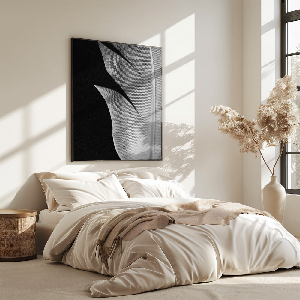 Feather_005 | Poster