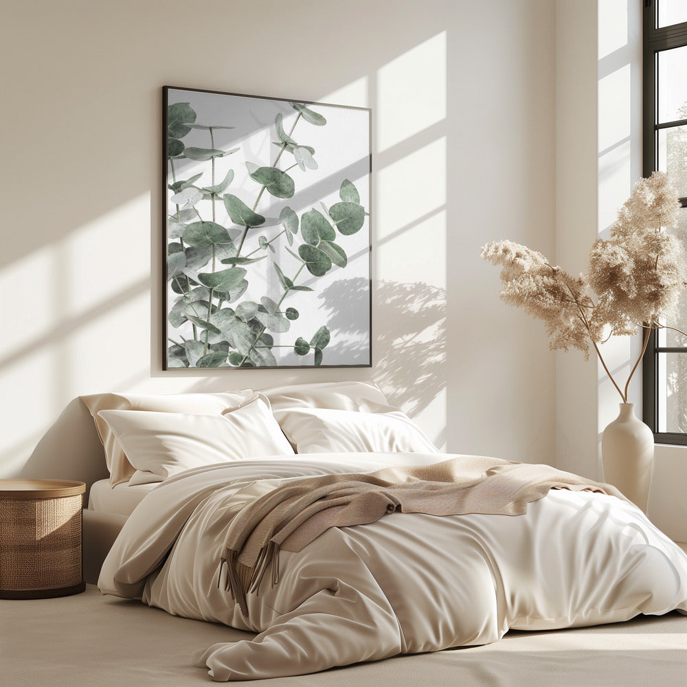 Eucalyptus_003 | Poster