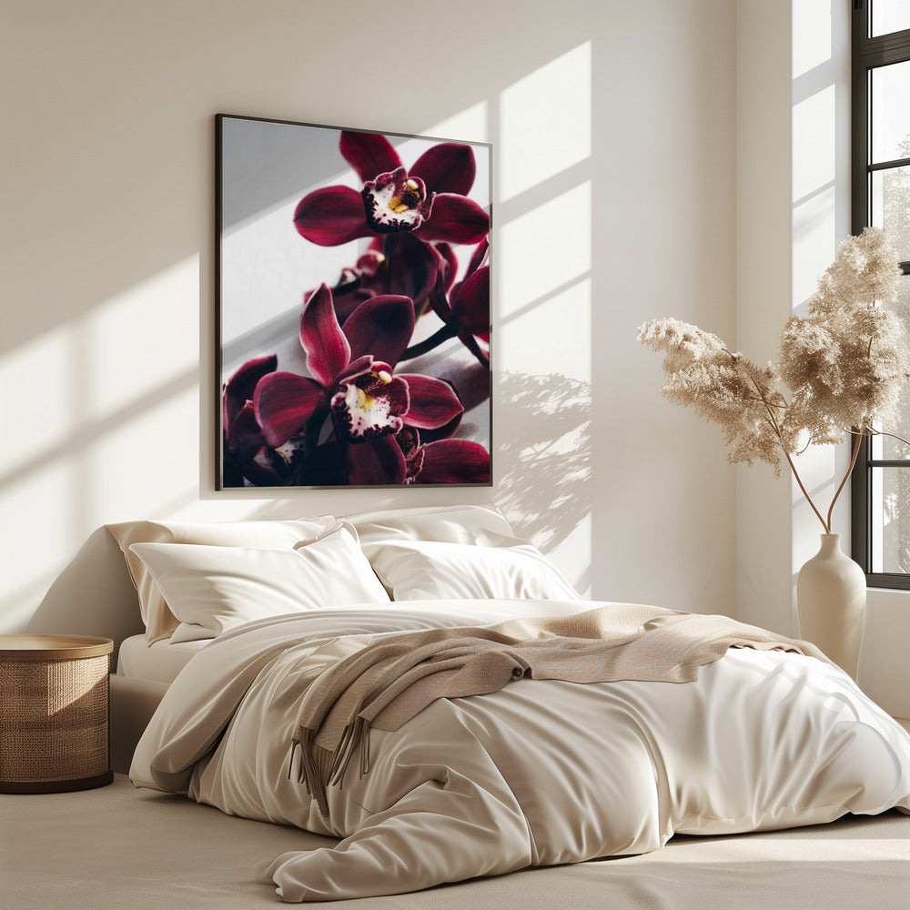 Velvet Orchid Twilight | Poster