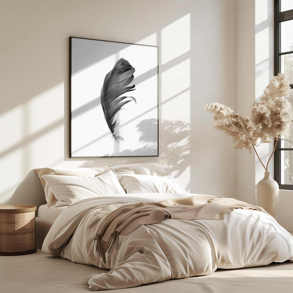 Feather | Poster