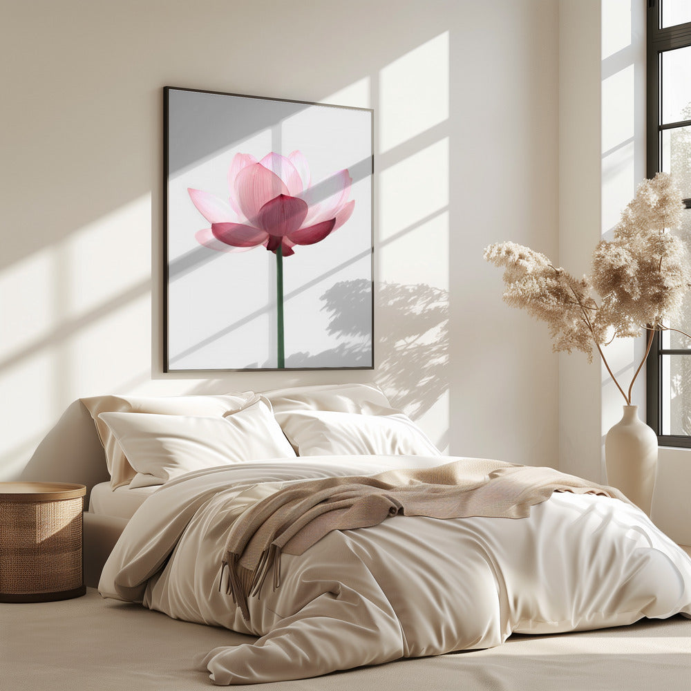 Lotus Flower | Poster