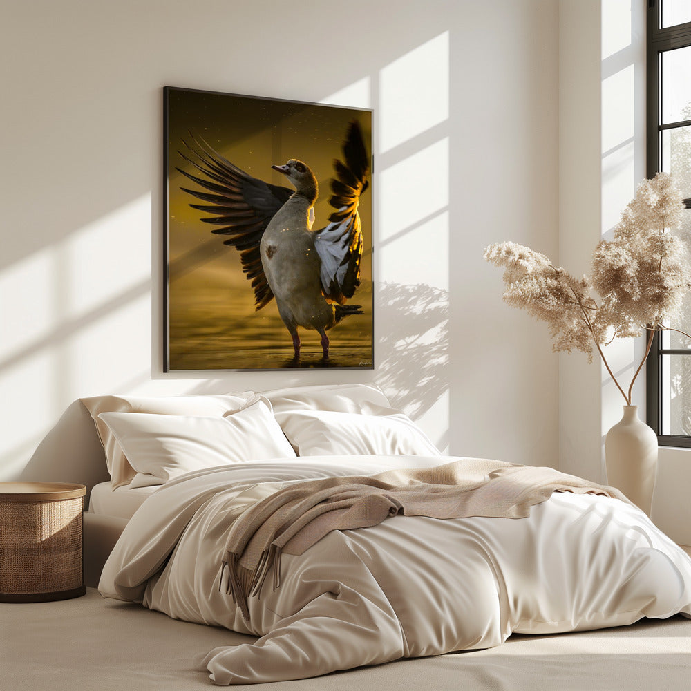 Open  Heart | Poster