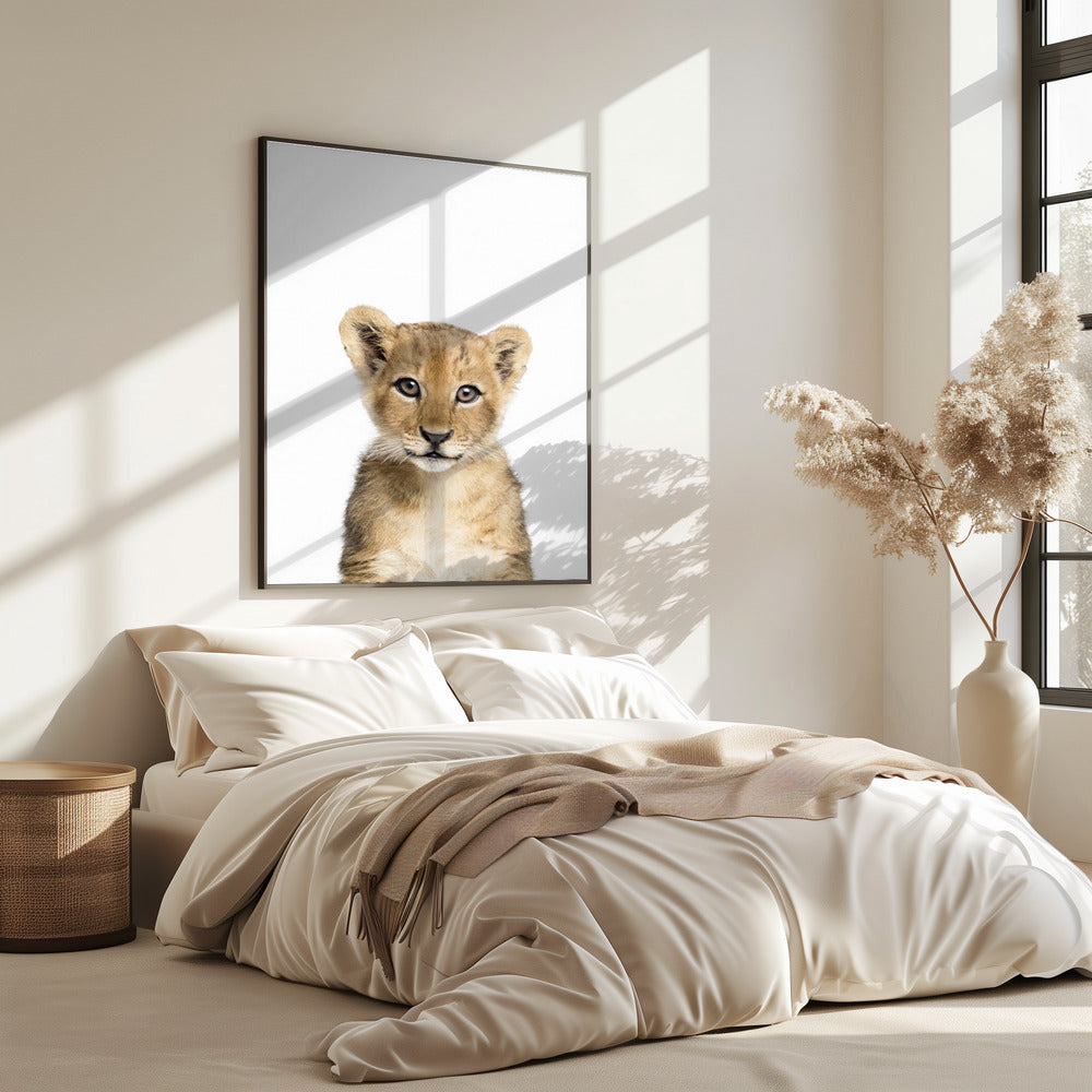 Baby Lion | Poster