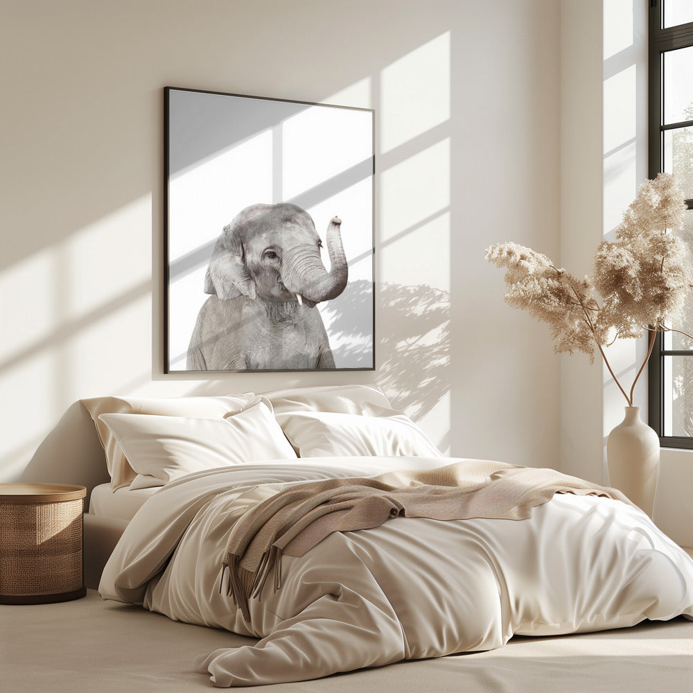 Baby Elephant | Poster