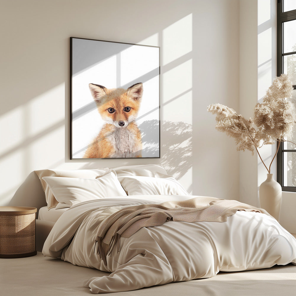 Baby Fox | Poster
