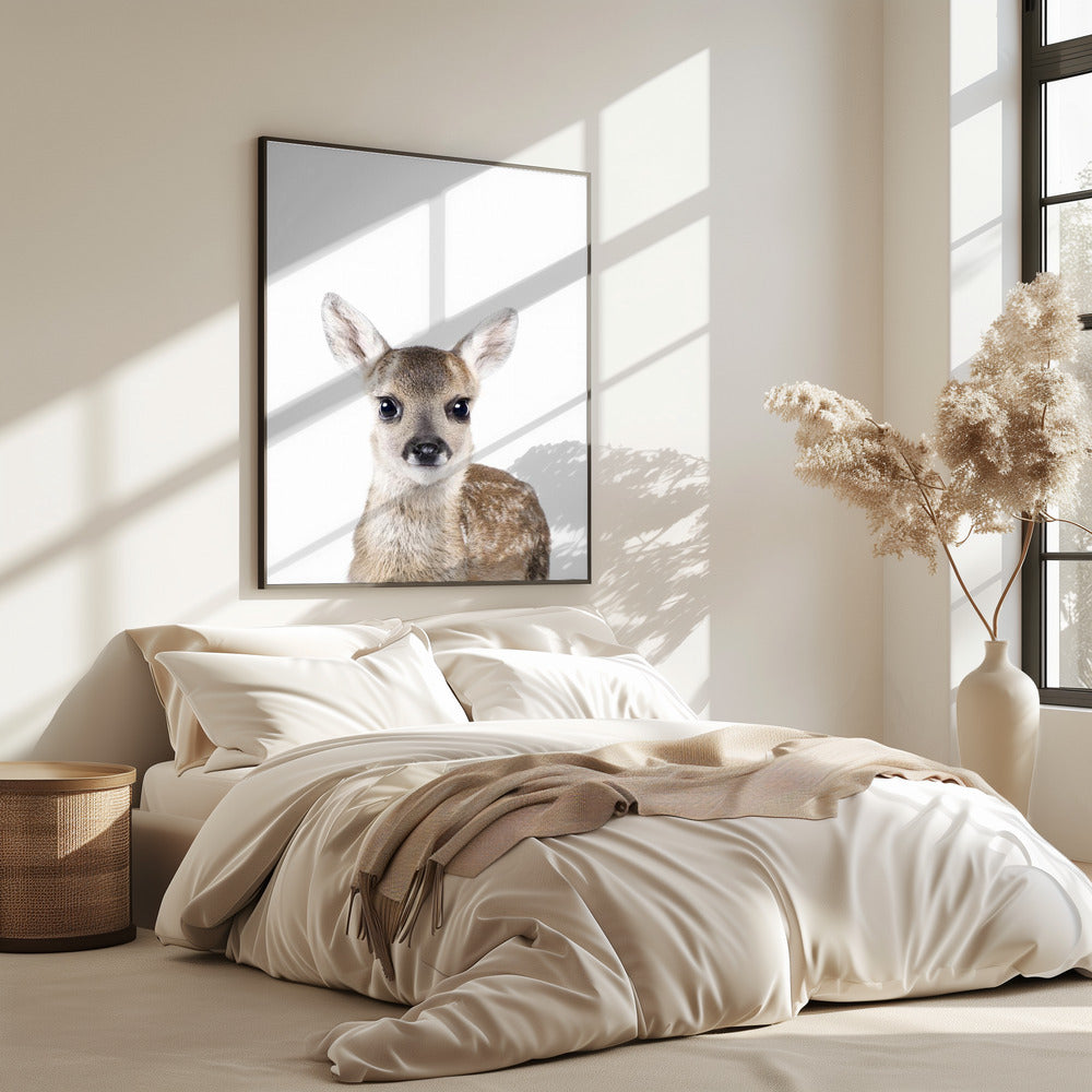 Baby Deer | Poster