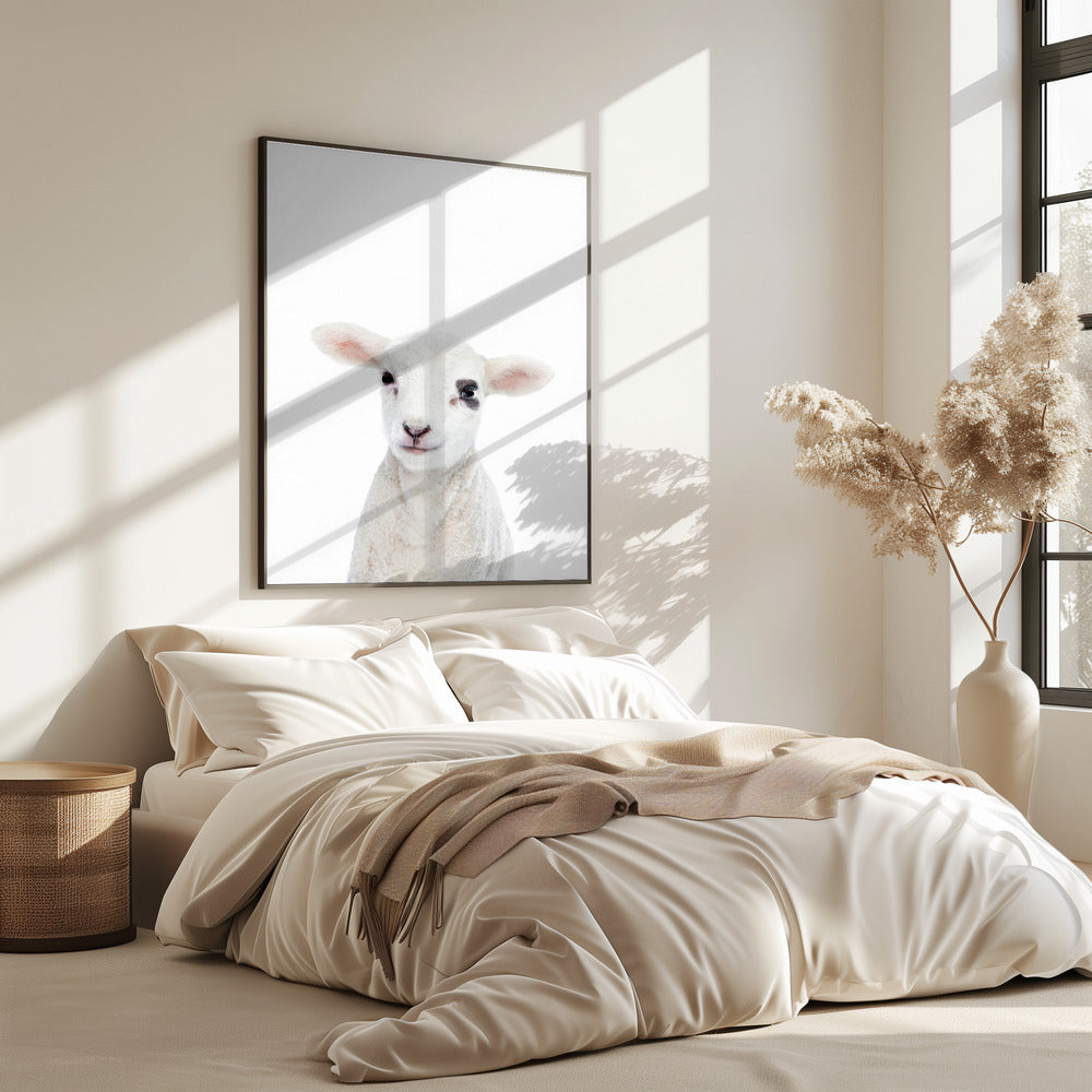 Baby Lamb | Poster