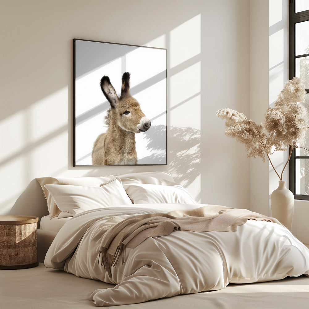 Baby Donkey | Poster
