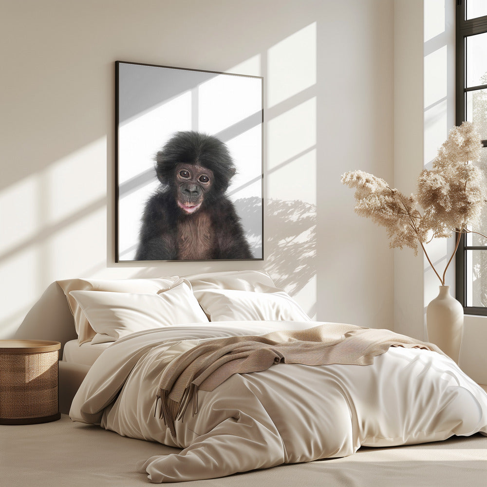 Baby Monkey | Poster