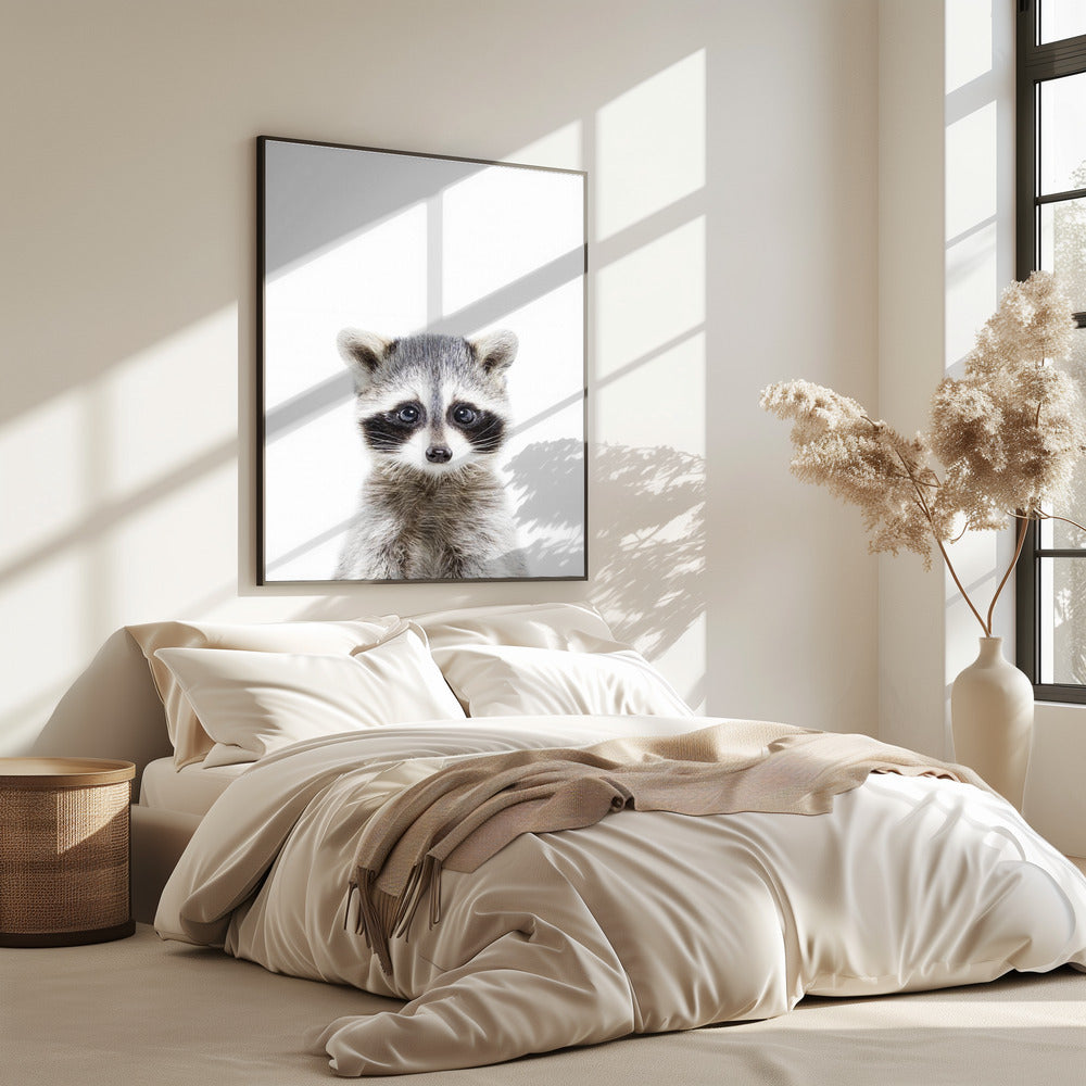 Baby Racoon | Poster