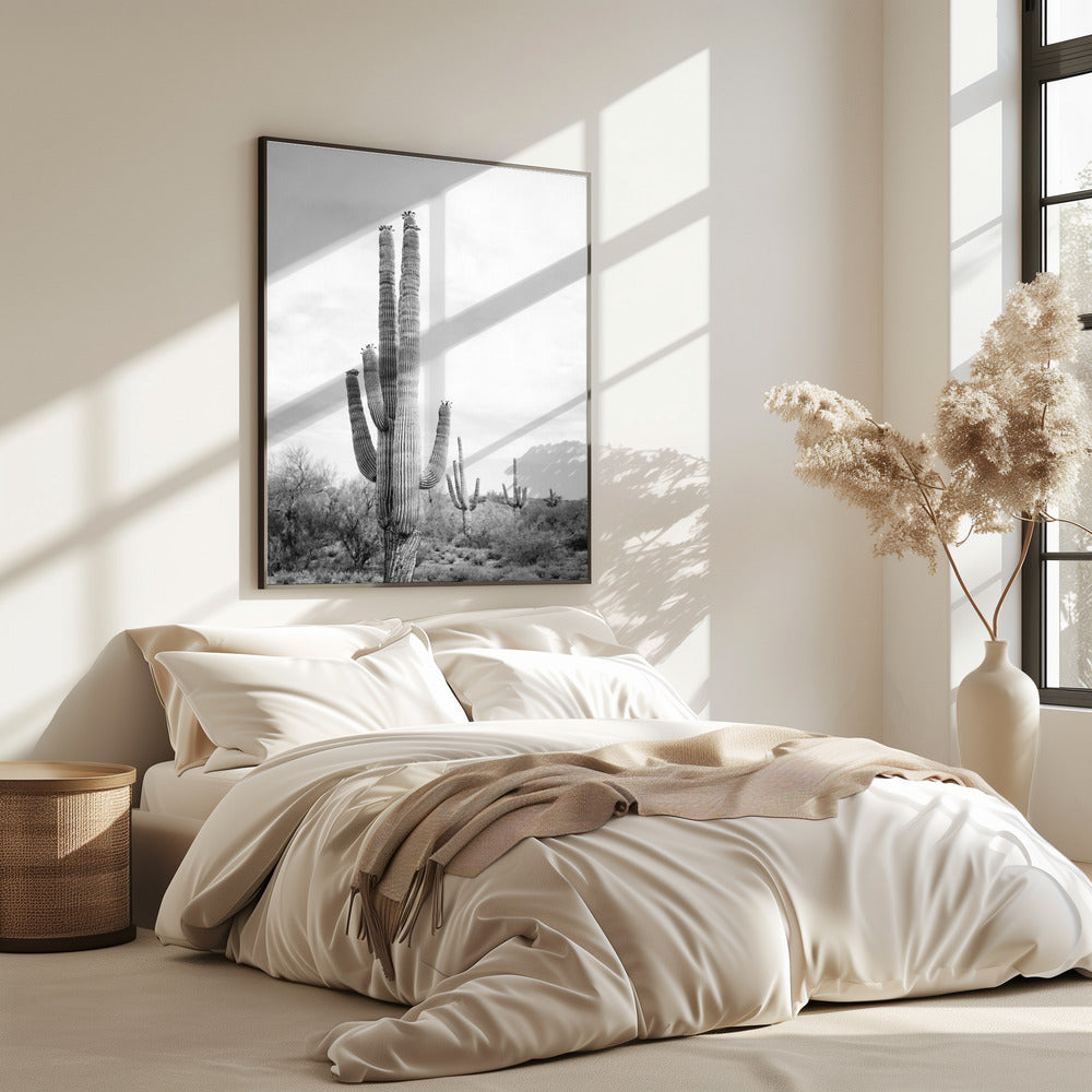 Saguaro B&amp;W | Poster