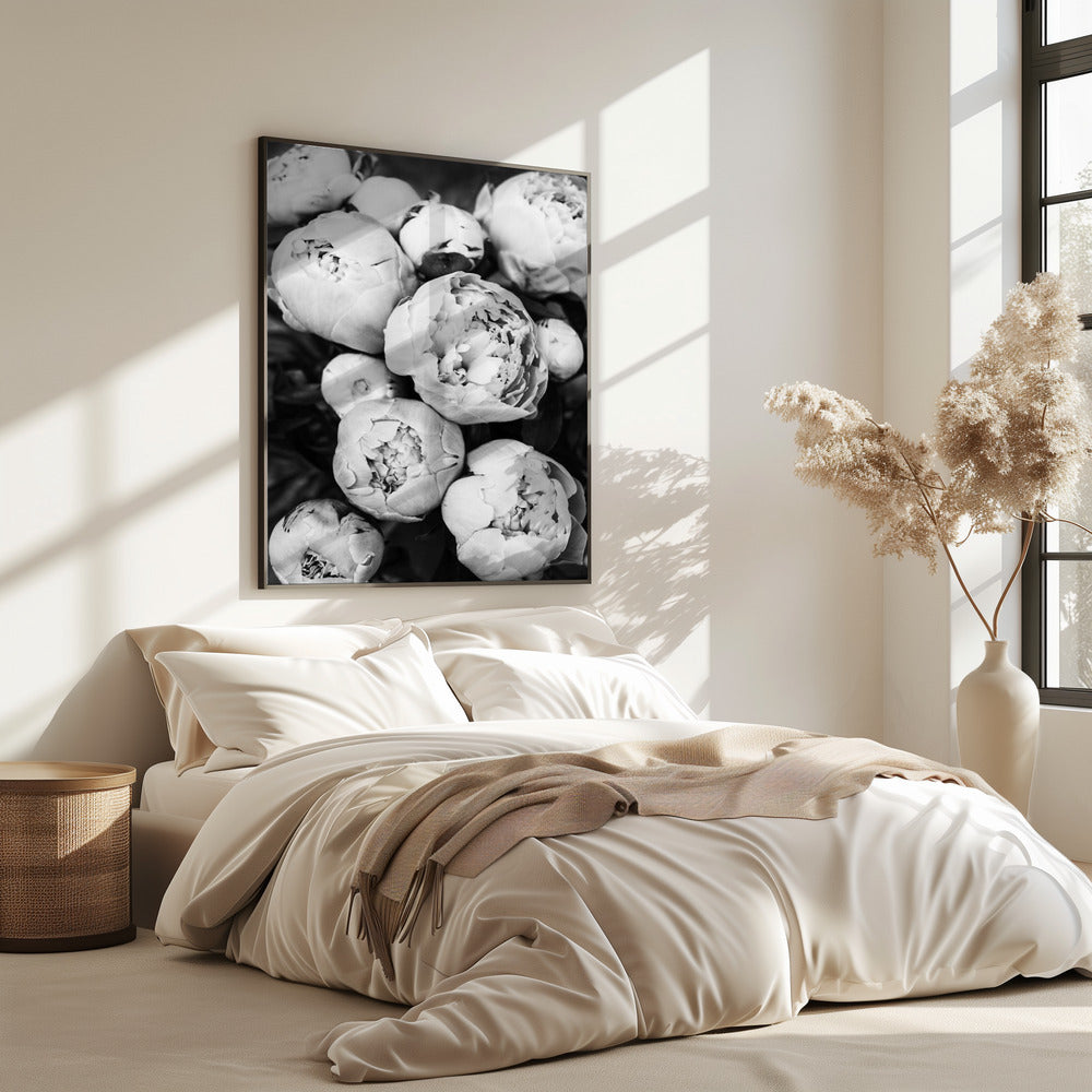 Peonies | Poster