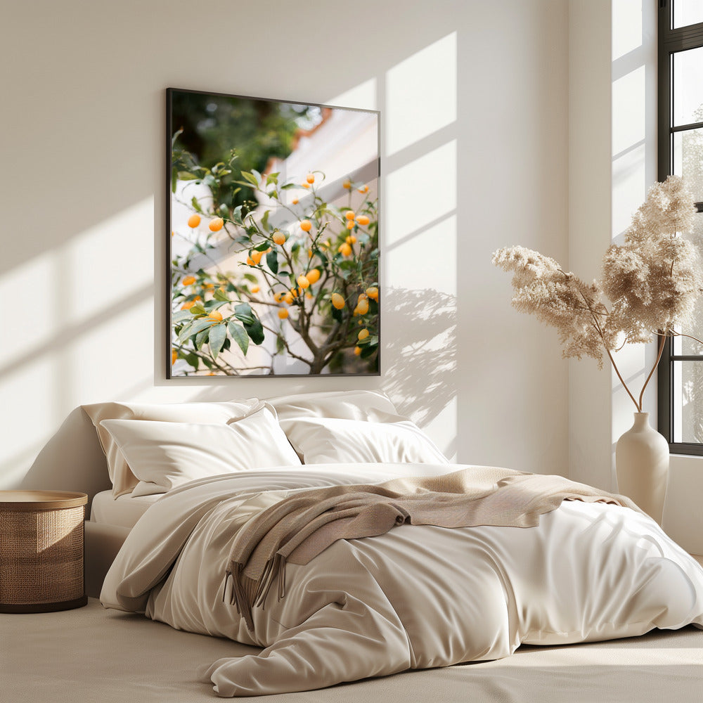 Orange Capri | Poster