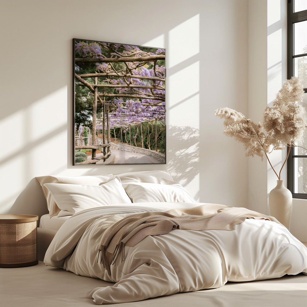 The Lavender Walkway | Poster