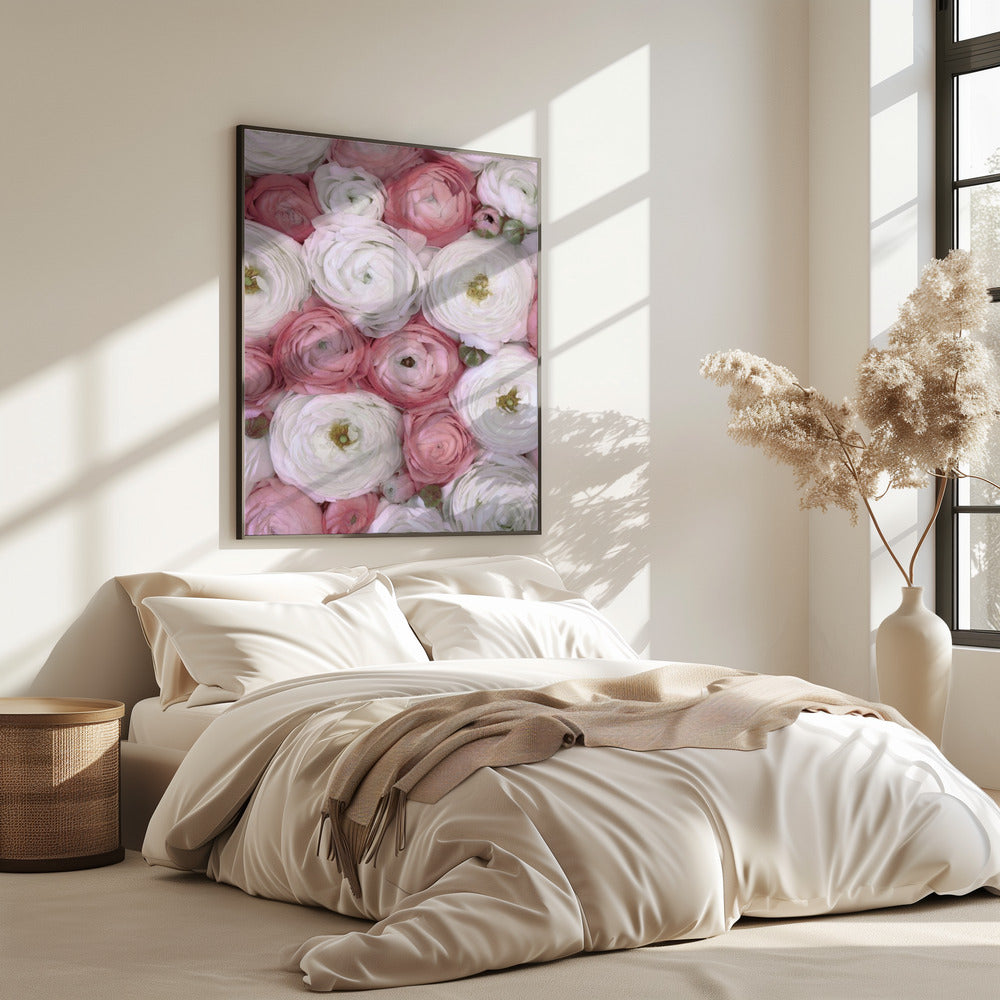 Scattered ranunculus in muted pink II | Poster