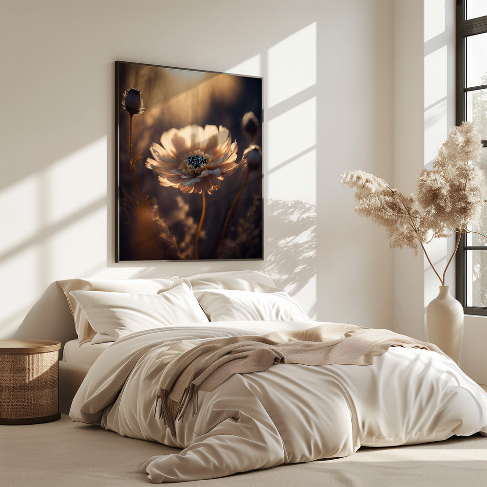 Sunlit Blossom | Poster
