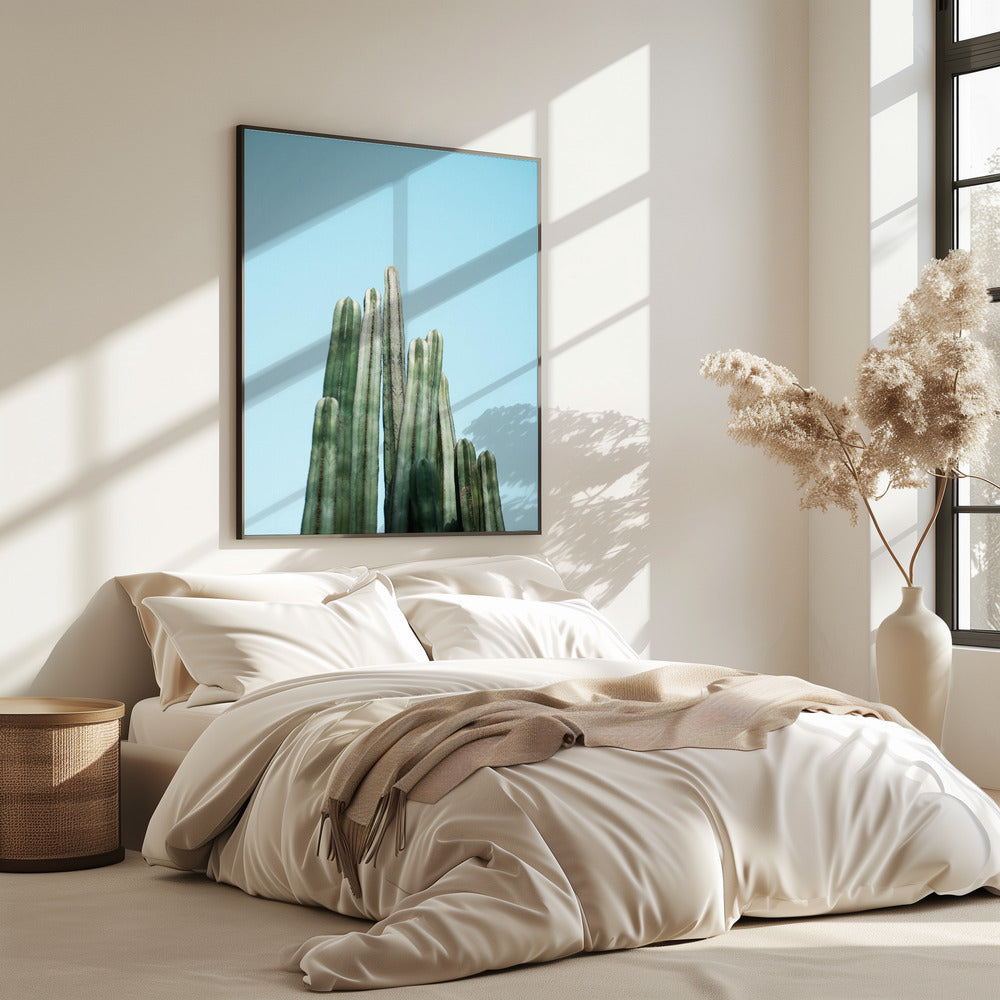 Cacti | Poster