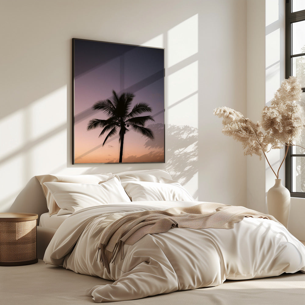 Costa Rica Palm Tree | Poster