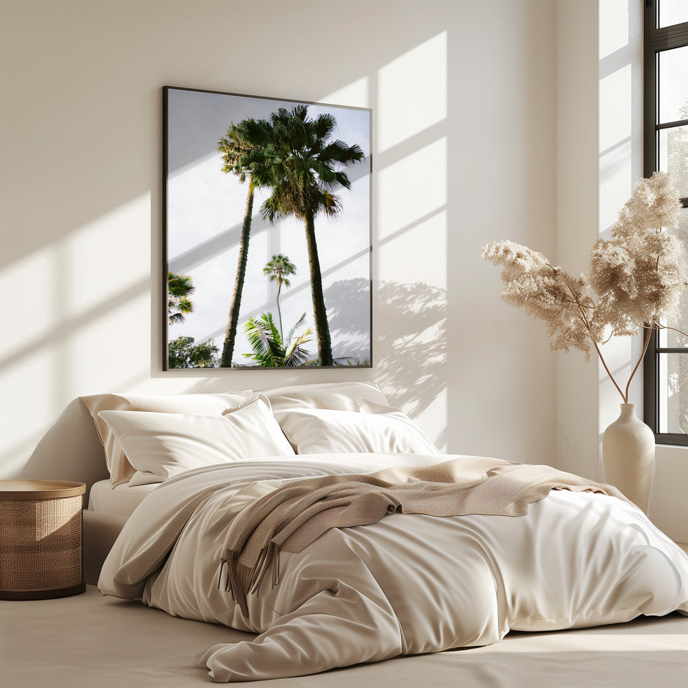 Find me under the Palm Tree | Poster