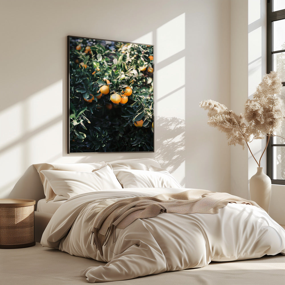 Marrakesh Oranges | Poster