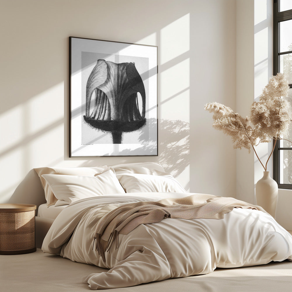 Geum Rivale | Poster