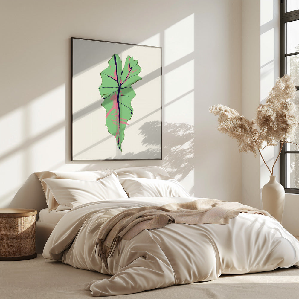 Alocasia Polly | Poster