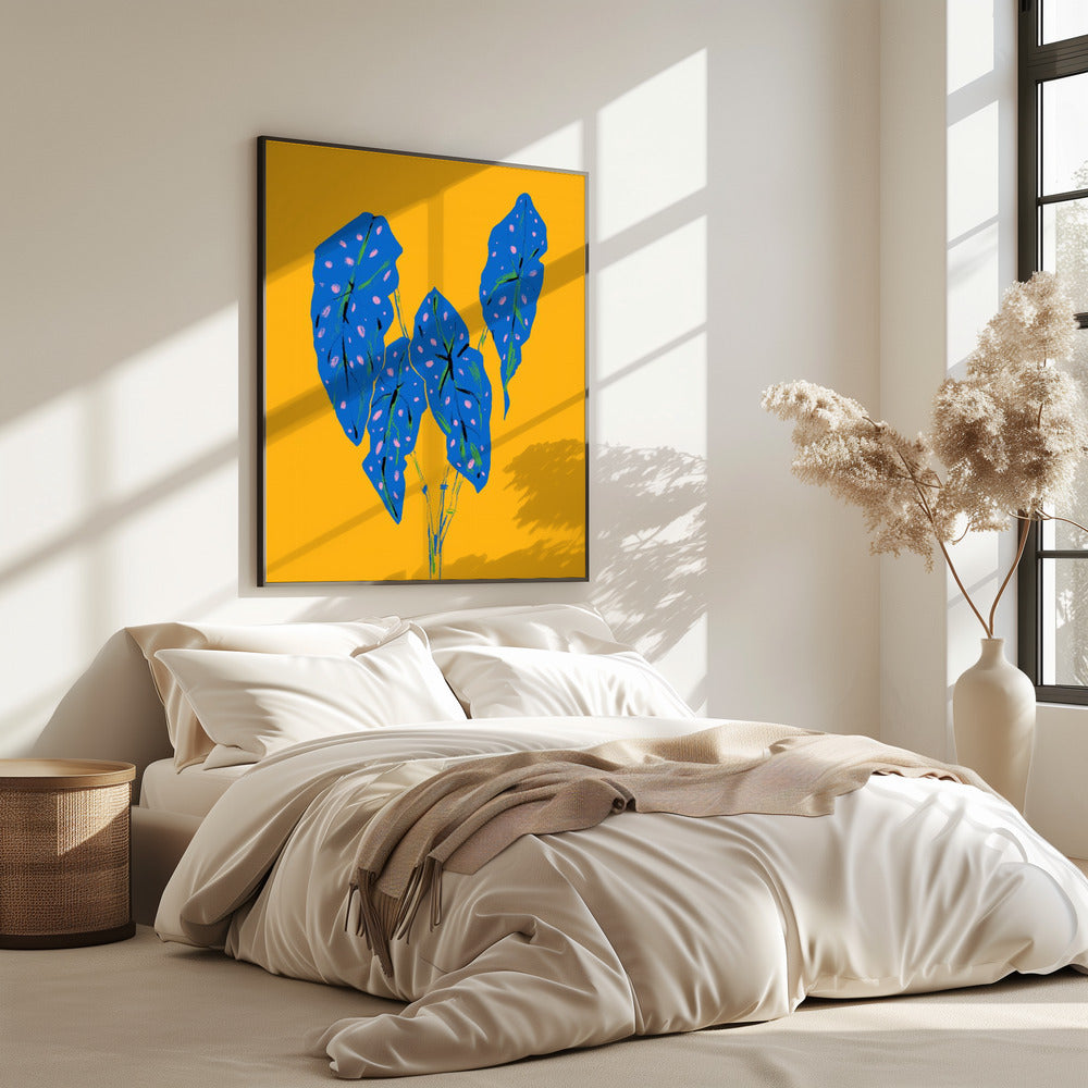 Begonia Maculata Blue and Yellow | Poster