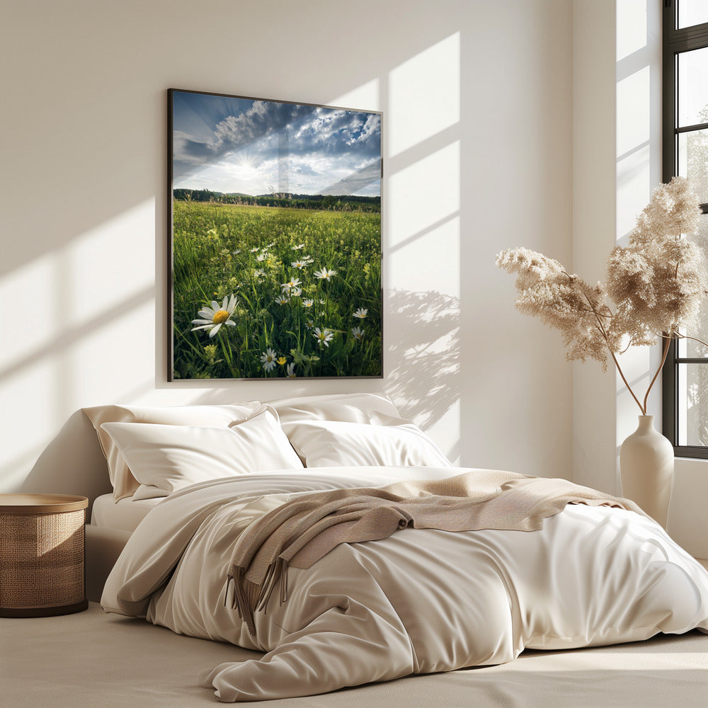 Flowering Meadow | Poster