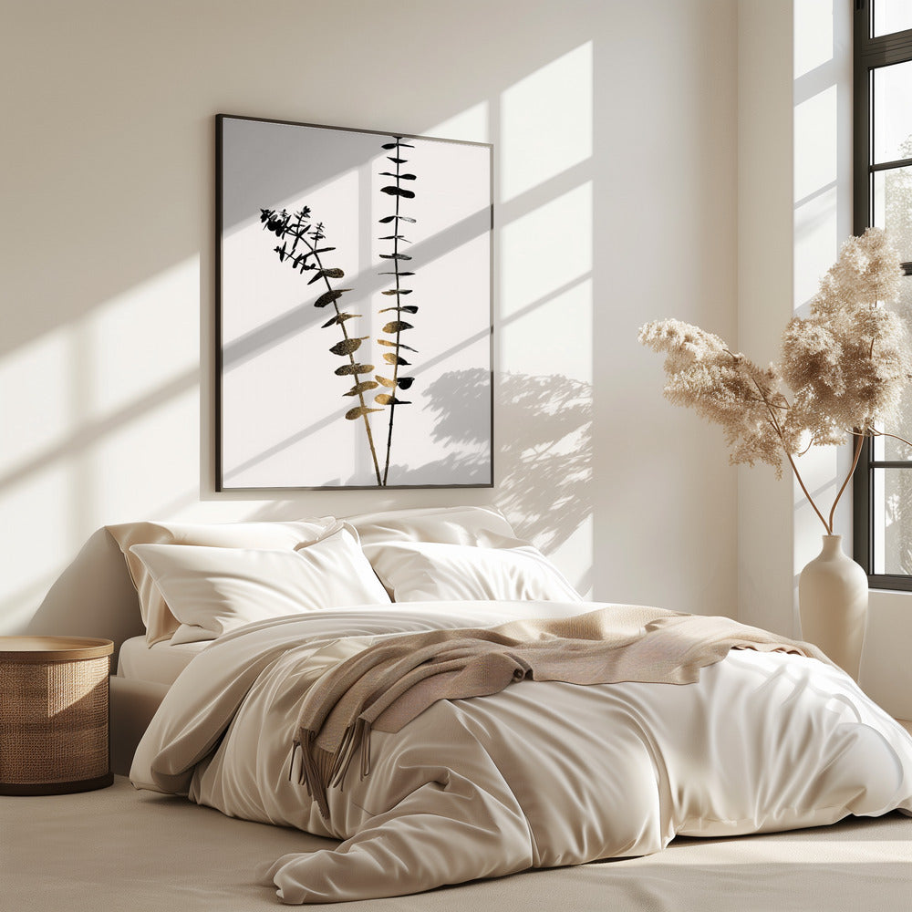 Eucalyptus Dark Gold | Poster