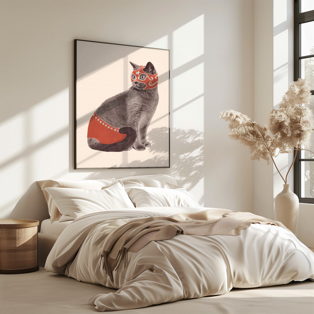 Chat Catcheur | Poster