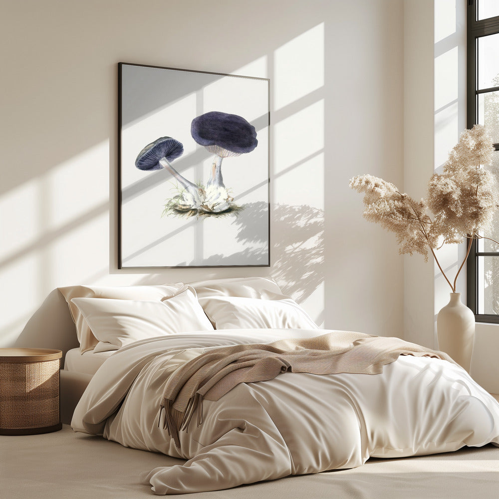 Vintage Violet Webcap Mushroom | Poster