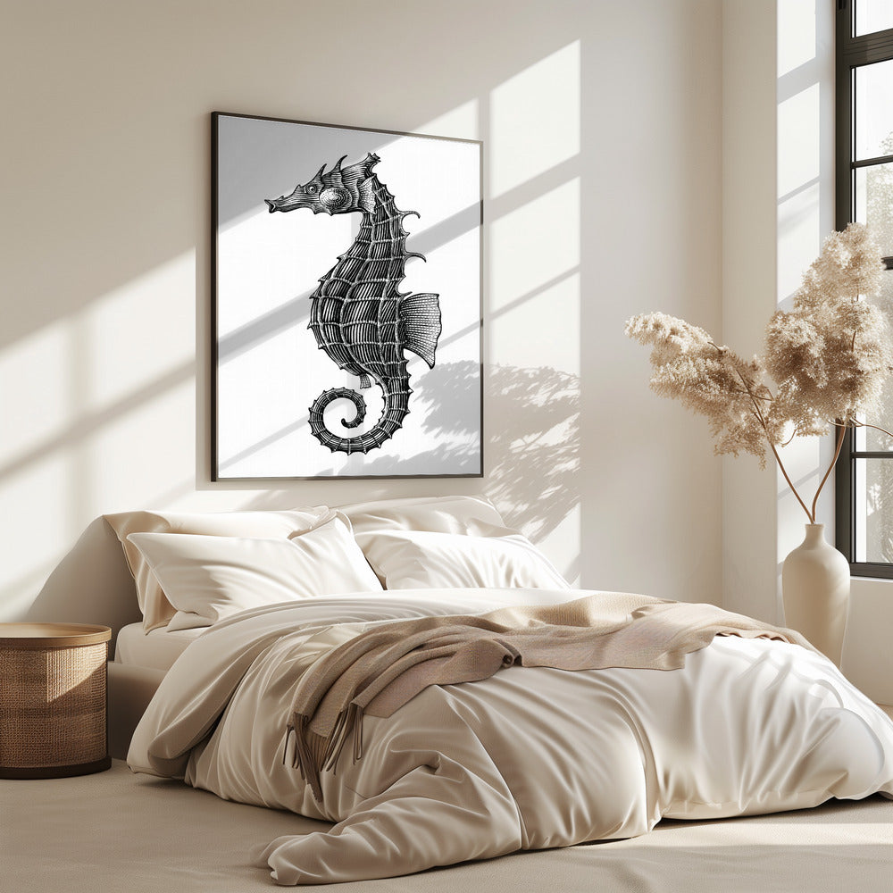 Seahorse | Poster