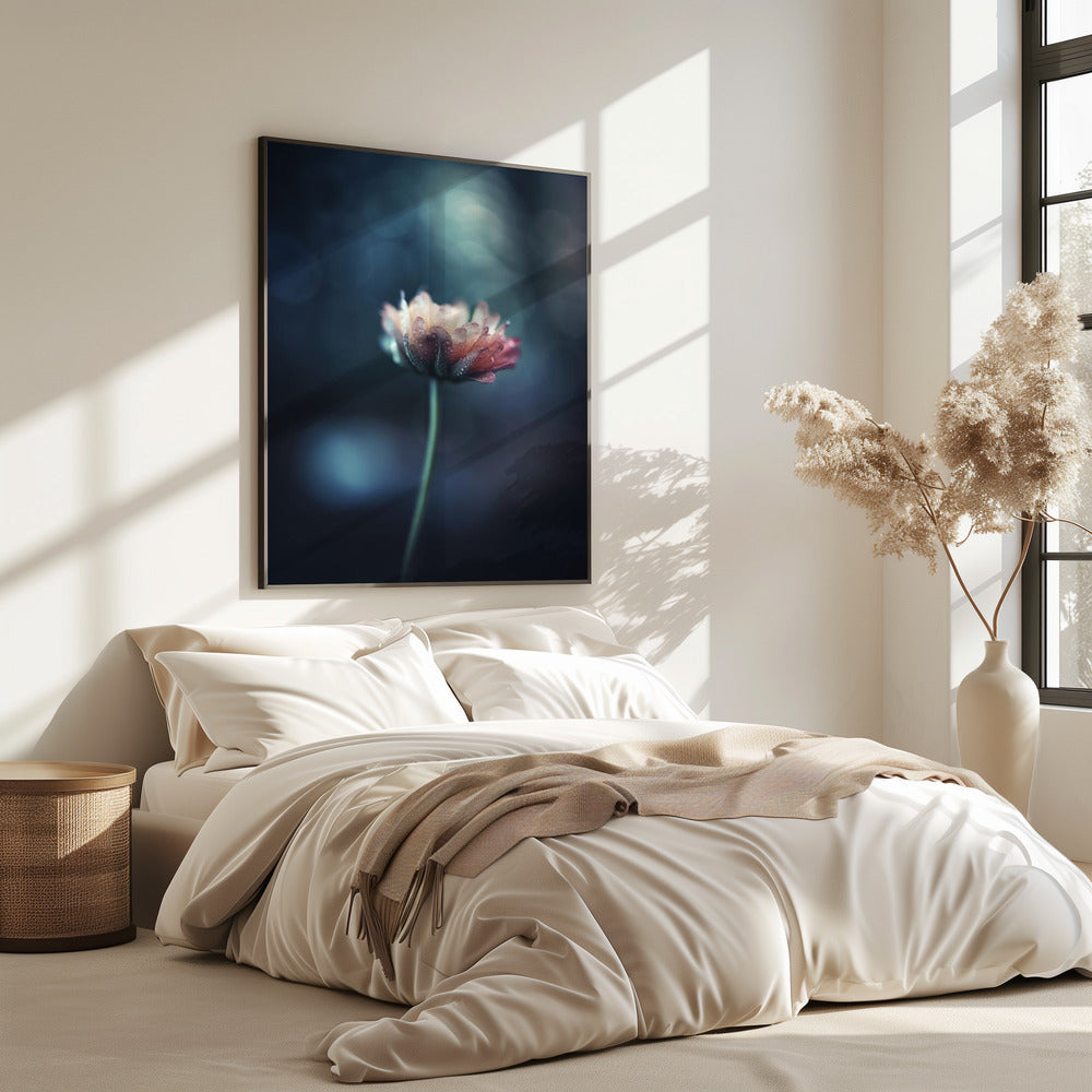 Dew-Kissed Blossom | Poster