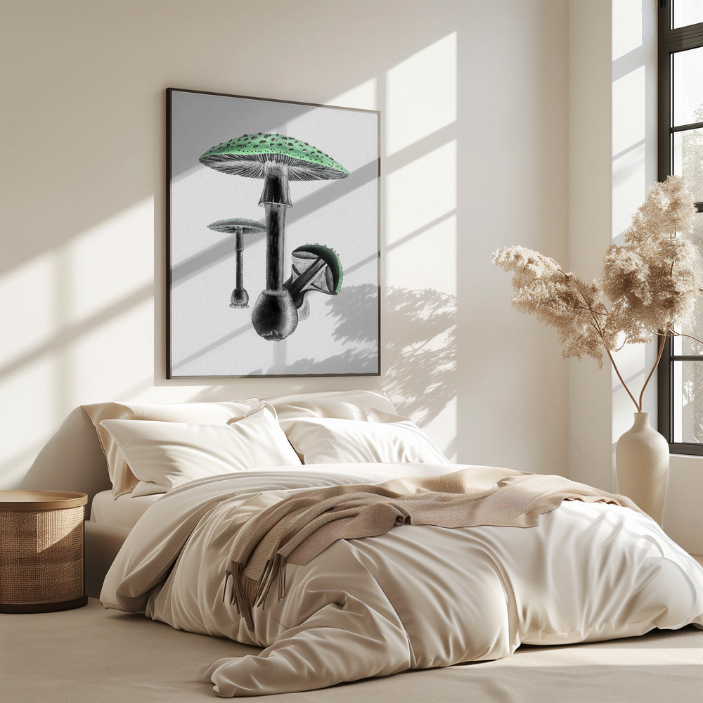 Amanita Muscaria White Background Green | Poster