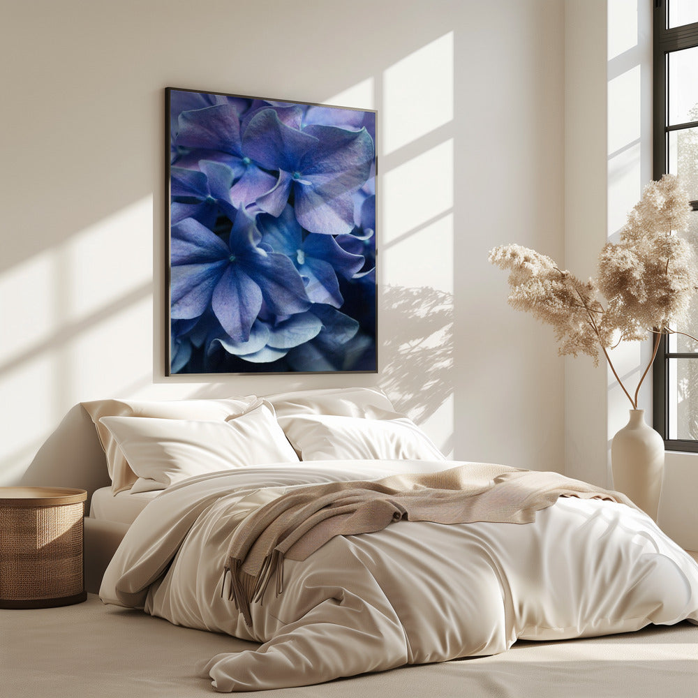 Vibrant Purple Hydrangea Flowers | Poster