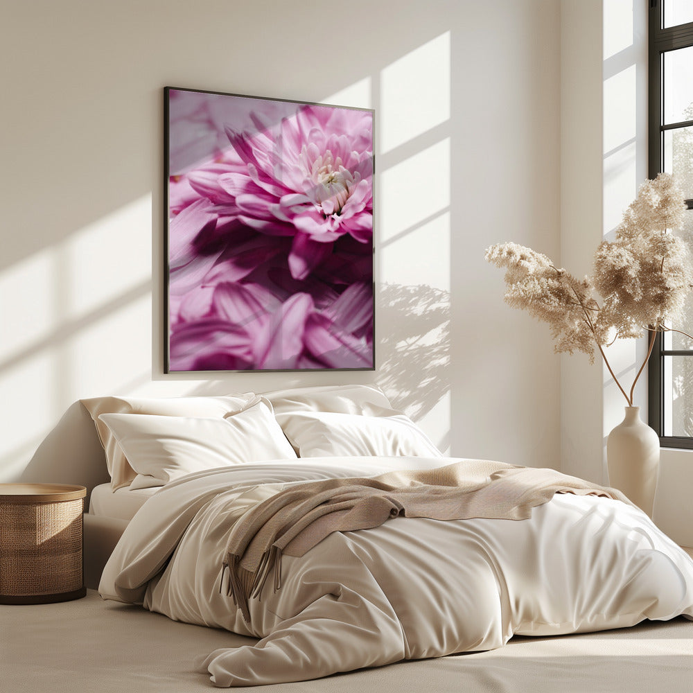 Pink Petal Symphony | Poster