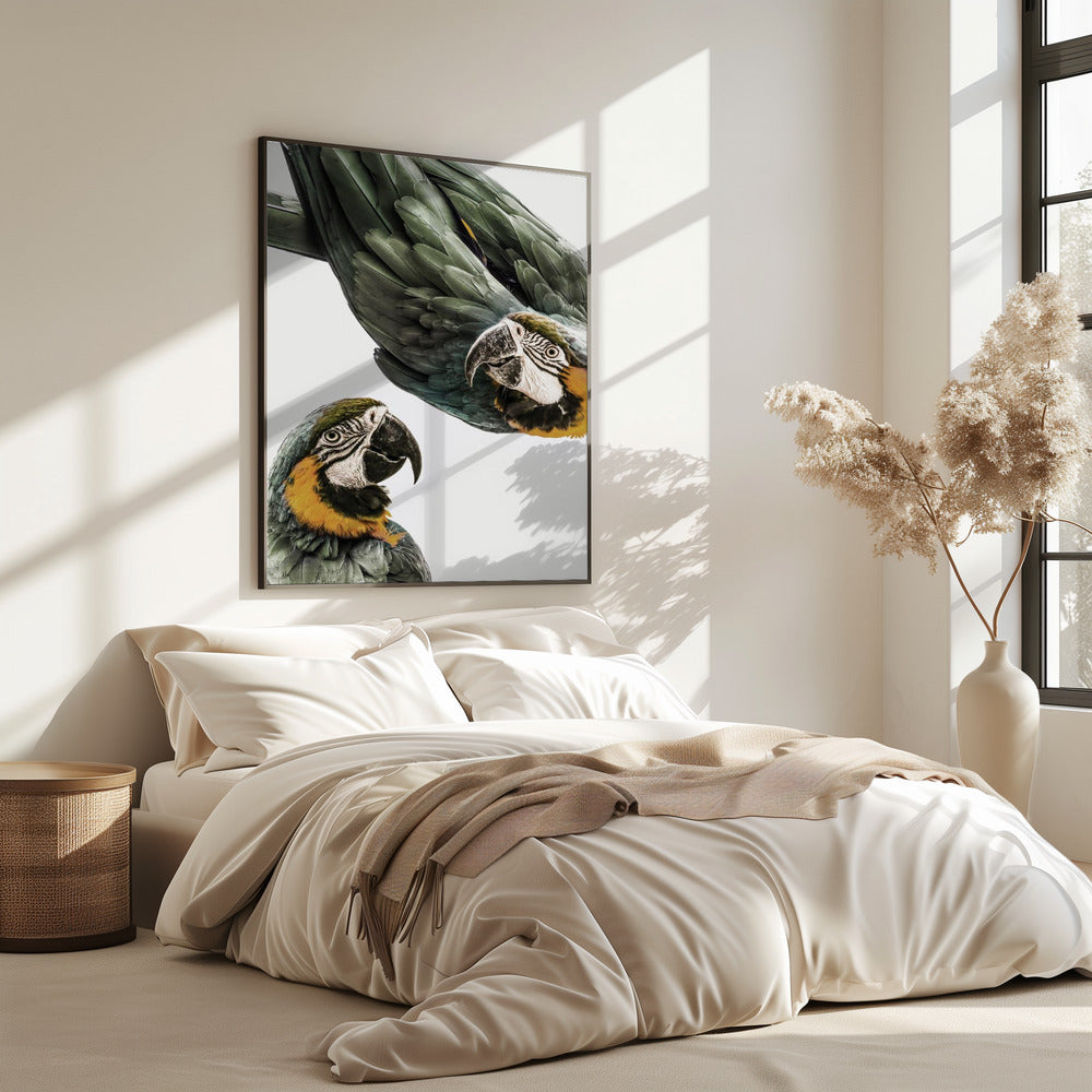 Vibrant Parrot Duo | Poster