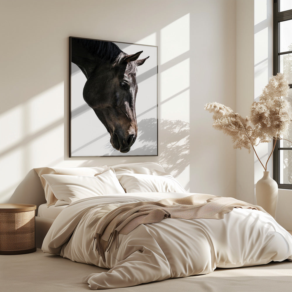 Gentle Equine Gaze | Poster