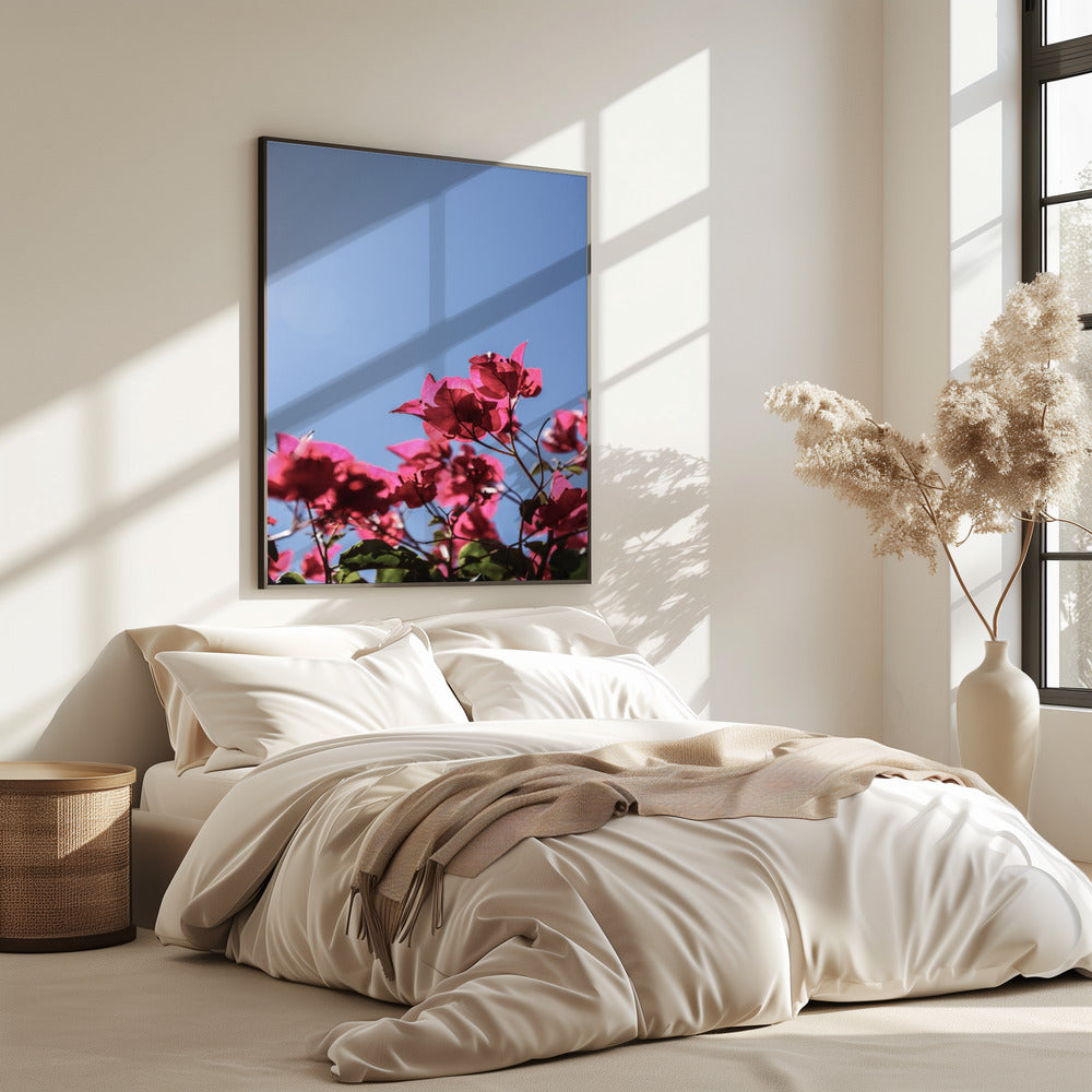 Bougainvillea Bliss | Poster