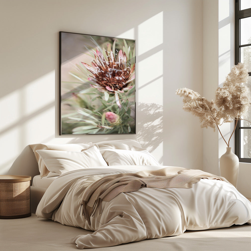Soft Bloom Elegance | Poster