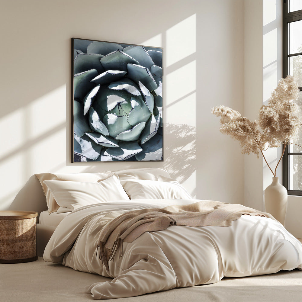 Agave Spiral Dance | Poster