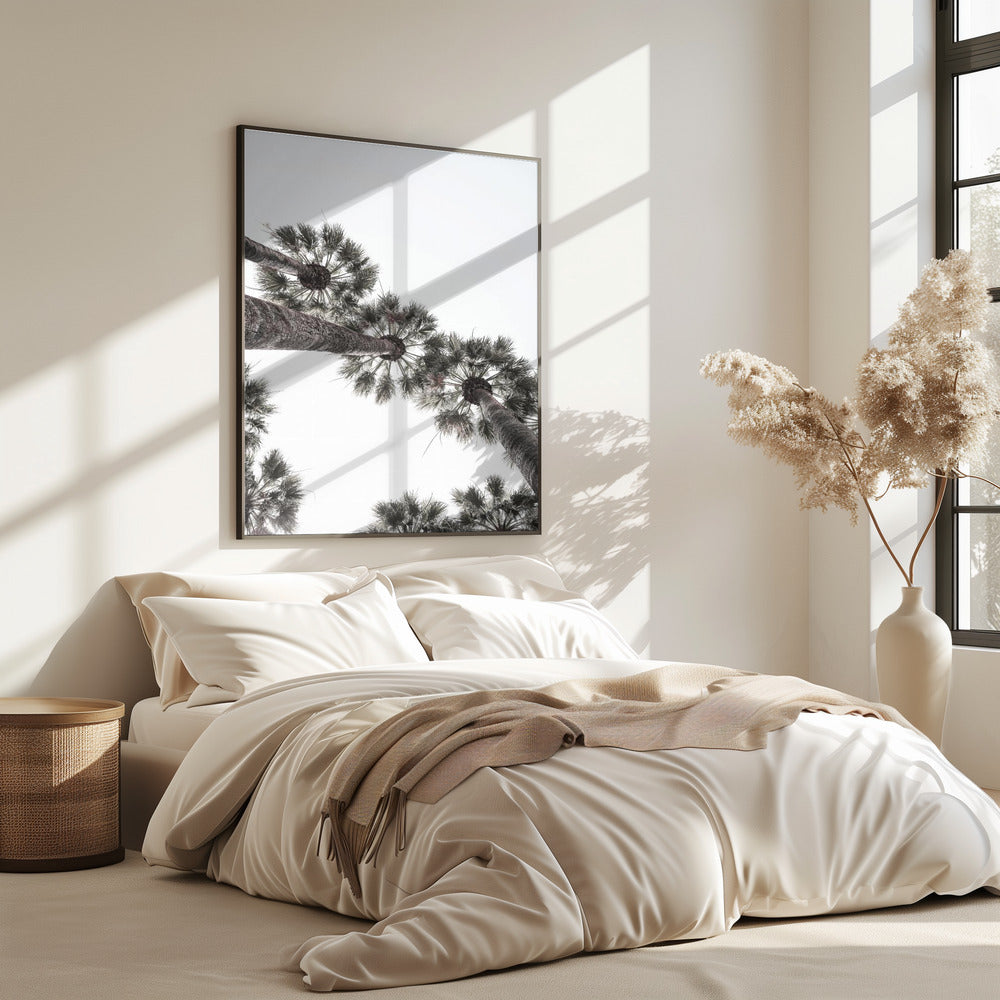 Skyward Palms | Poster