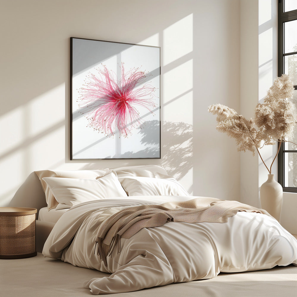 Floral Fireworks | Poster