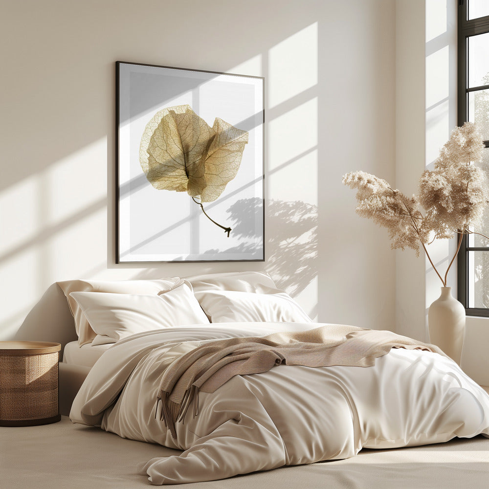 Delicate Leaf Veins | Poster