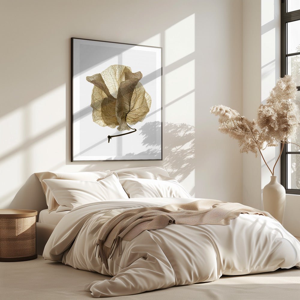 Whispering Petals | Poster