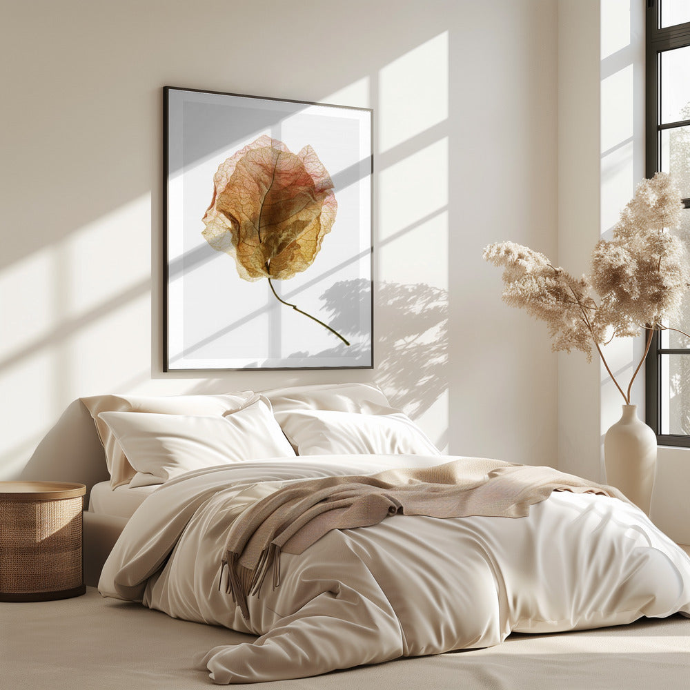 Veined Elegance | Poster